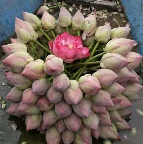 article cover image